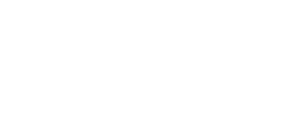 adise logo bla
